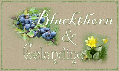 Blackthorn and Celandine